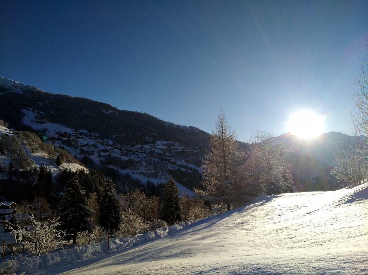 Chalet Waldrand Inden Kültér fotó